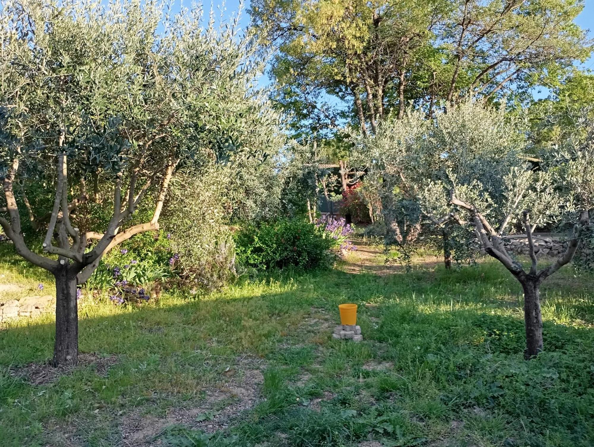 Studio 25M2 Avec Piscine Et Spa, Proche Iter Et Cadarache Apartman Valensole Kültér fotó